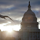 Image for article titled House Defeats Amendment, Allowing NSA to Keep Spying on You